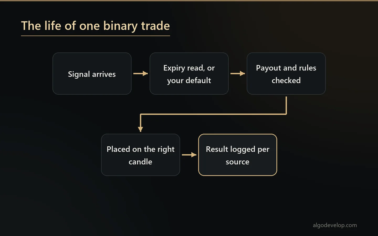 Binary options bot development flow: a signal arrives, the expiry is read, payout and rules are checked, the trade lands on the right candle and the result is logged