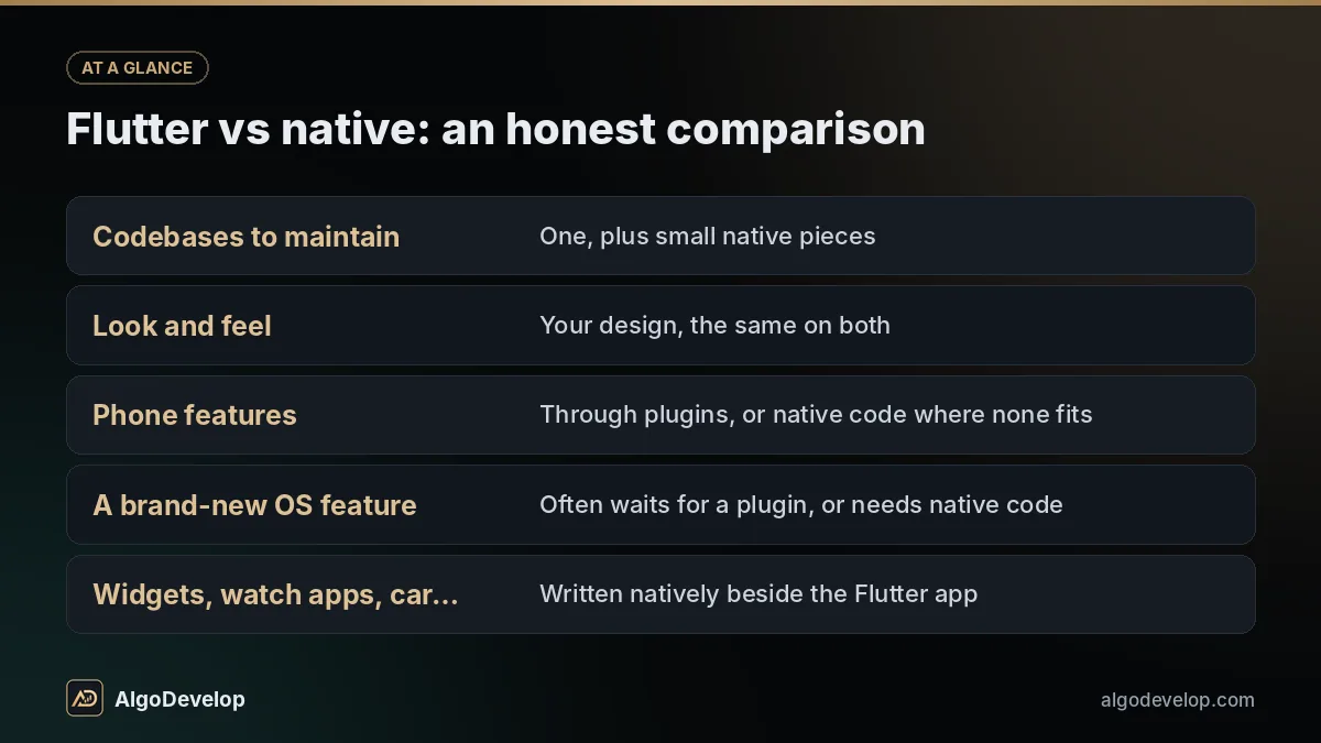 Flutter vs native: an honest comparison - Flutter app development, including codebases to maintain, look and feel and phone features