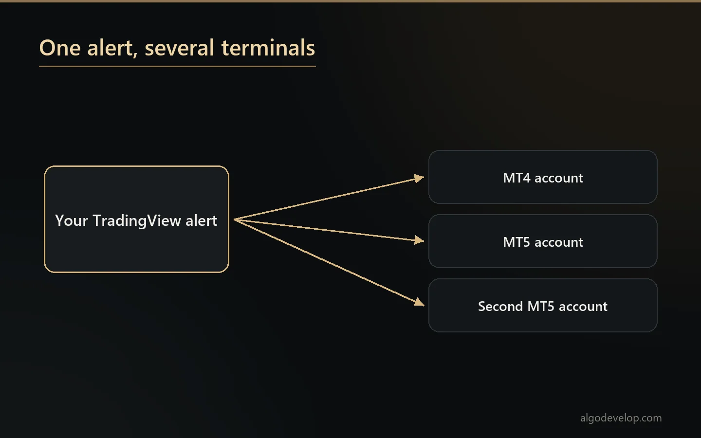 One TradingView alert feeding several MetaTrader terminals: an MT4 account, an MT5 account and a second MT5 account