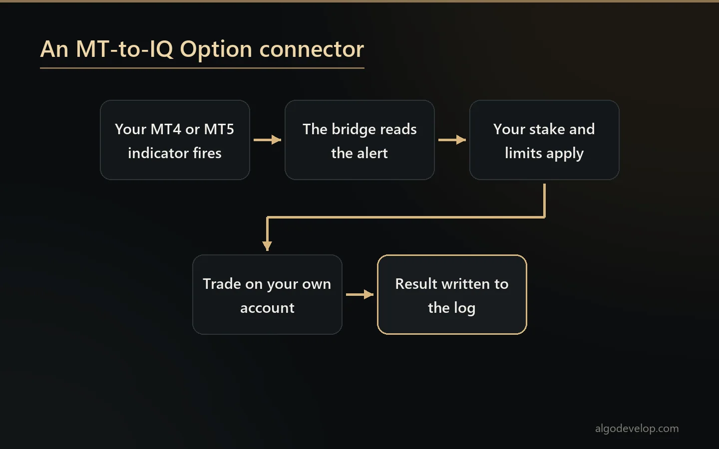 An MT-to-IQ Option connector: the MetaTrader indicator fires, your limits apply, the trade opens on your account