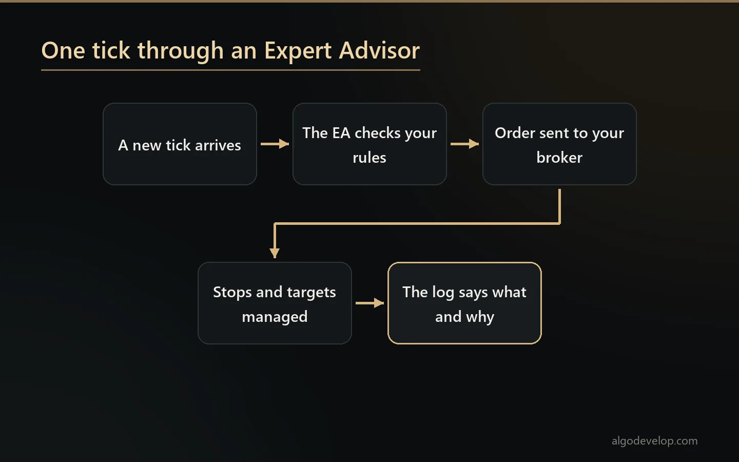 One tick through an MT4 Expert Advisor: the tick arrives, the EA checks your rules, sends the order and manages it