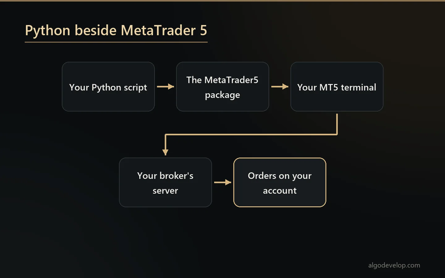 Python beside MetaTrader 5: your script, the MetaTrader5 package, your terminal and your broker's server