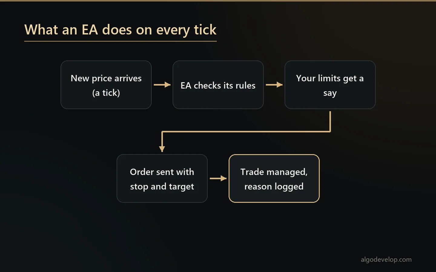 What is an expert advisor: an EA checks its rules on every new price and sends the order to your broker