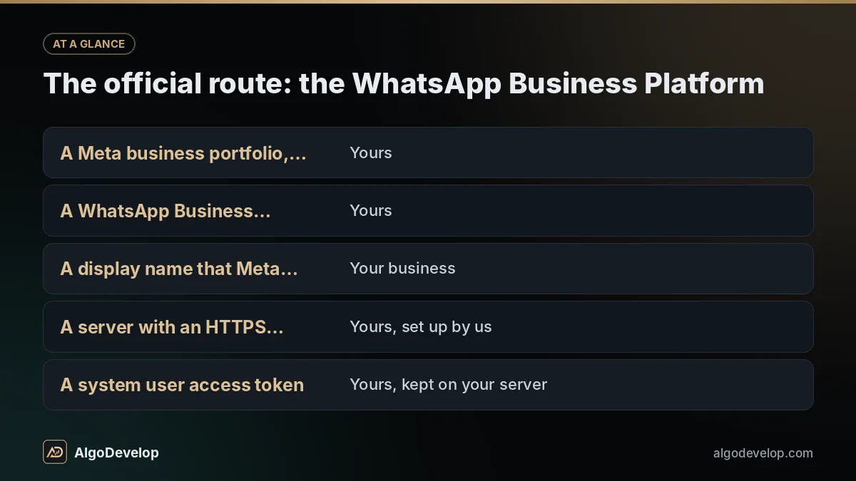 The official route: the WhatsApp Business Platform - WhatsApp bot development, including a Meta business portfolio, verified for higher limits